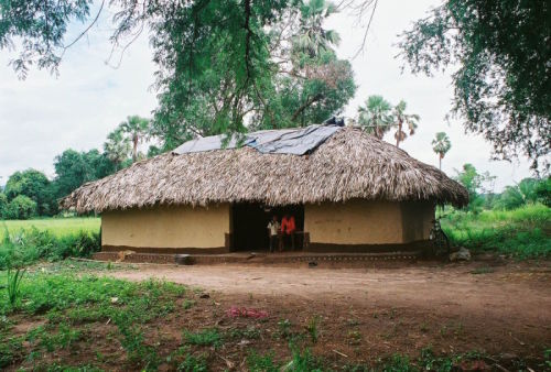 vca