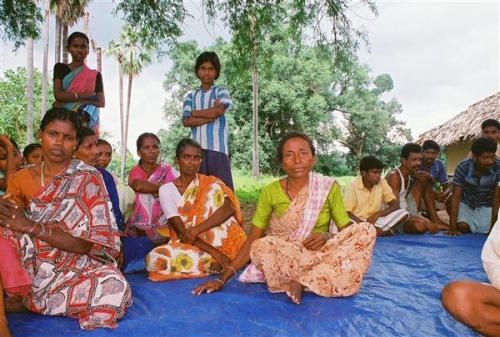 adavi